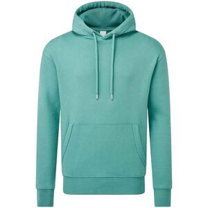 Anthem Mens Hoodie / Teal